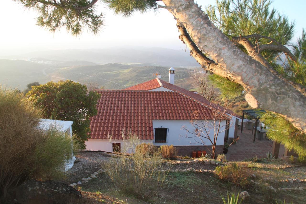 Casa Pura Vida - Malaga - Andalusie Vila Colmenar Exterior foto